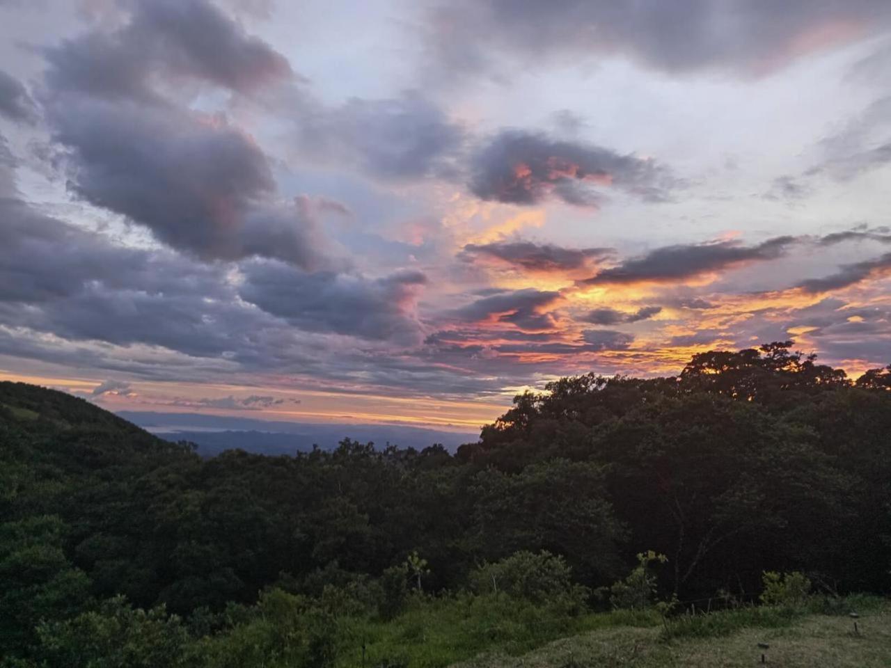 Casa Urraca, Magnifica Vista Al Oceano Pacifico Villa Monteverde Eksteriør billede